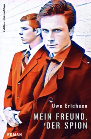 Cover of the book Mein Freund, der Spion by Martin Barkawitz