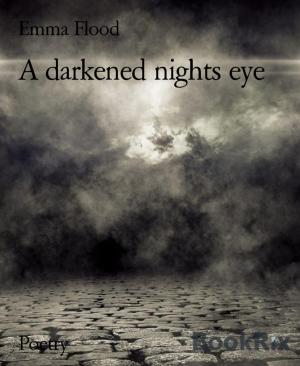 Cover of the book A darkened nights eye by Rita Roth