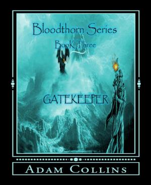 Cover of the book Gatekeeper by Angela Körner-Armbruster