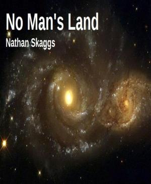 Cover of the book No Man's Land by Jan Gardemann