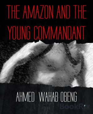 Cover of the book THE AMAZON AND THE YOUNG COMMANDANT by Harold Williams