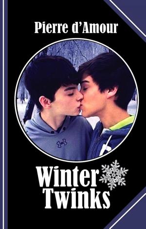 Cover of the book Winter Twinks by Alfred Bekker, A. F. Morland, Pete Hackett