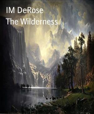 Cover of the book The Wilderness by Alfred Bekker