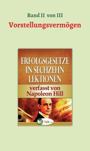 Cover of the book Erfolgsgesetze in sechzehn Lektionen by Farina Eden