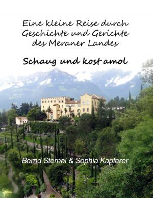 Book cover of Eine kleine Reise durch Geschichte und Gerichte des Meraner Landes