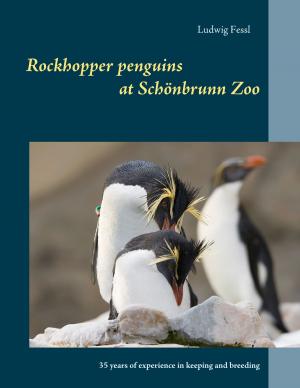 Cover of the book Rockhopper penguins at Schönbrunn Zoo by Jana A. Czipin
