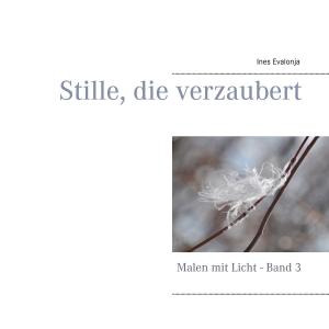 Cover of the book Stille, die verzaubert by Dieter Kleinhanß