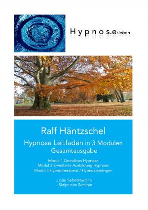 Cover of the book Hypnose Leitfaden in 3 Modulen by Angela Mackert