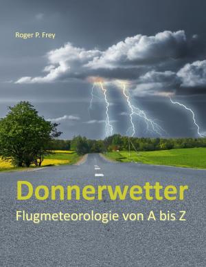 Cover of the book Donnerwetter by Sylvia Schwanz