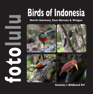 Cover of the book Birds of Indonesien by Bernhard J. Schmidt