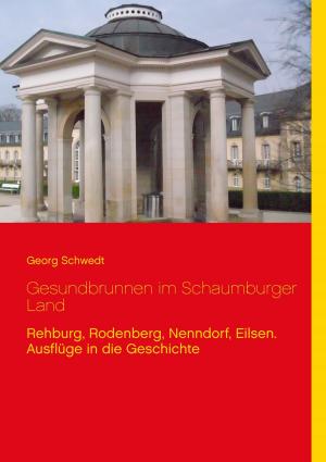 Cover of the book Gesundbrunnen im Schaumburger Land by Walther Kabel