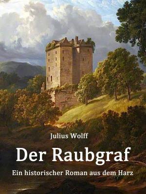 Cover of the book Der Raubgraf by Martin Schnurrenberger