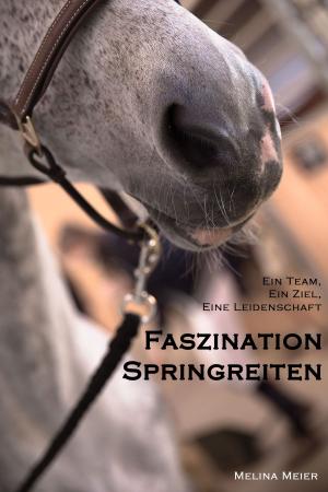 Cover of the book Faszination Springreiten by Matthias Günter