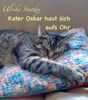 bigCover of the book Kater Oskar haut sich aufs Ohr by 