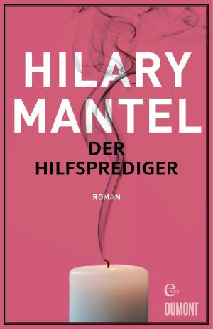 Cover of the book Der Hilfsprediger by Helmut Krausser