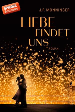 Cover of the book Liebe findet uns by John Connolly
