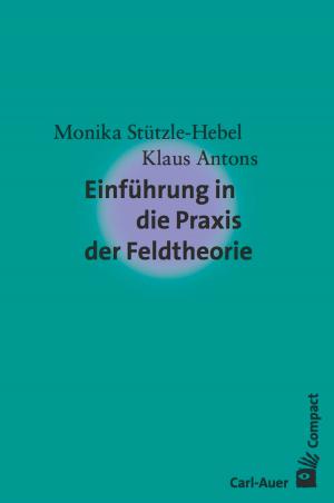 Cover of the book Einführung in die Praxis der Feldtheorie by Andreas Eickhorst, Ansgar Röhrbein