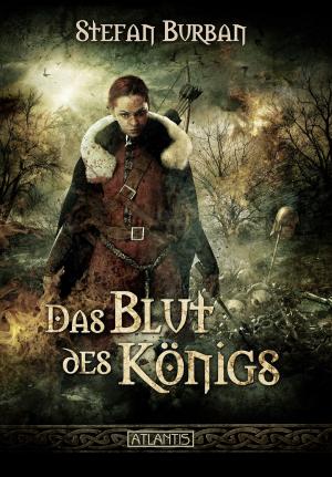 Cover of the book Die Chronik des großen Dämonenkrieges 2: Das Blut des Königs by Michelle McCleod