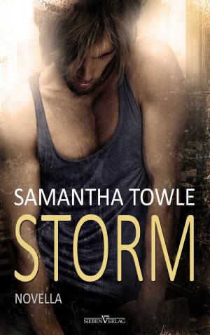 Cover of the book Storm by Alia Cruz