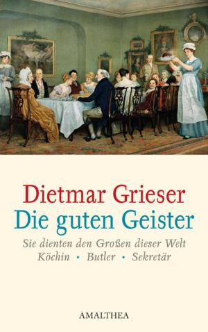 Cover of the book Die guten Geister by Judi Culbertson, Marj Decker