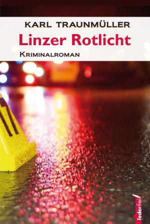 Cover of the book Linzer Rotlicht: Österreichkrimi by Max Oban
