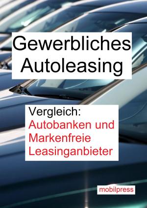bigCover of the book Gewerbliches Autoleasing by 