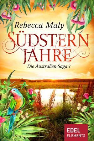 Cover of the book Südsternjahre 3 by Penelope Williamson