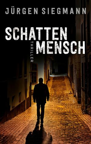 Cover of the book Schattenmensch by Frank Bresching