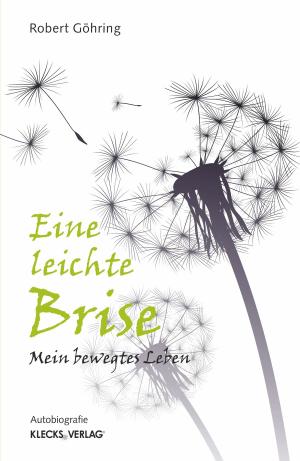Cover of the book Eine leichte Brise by Daniel G Fischer