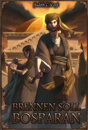 Cover of the book DSA: Brennen soll Bosparan by André Wiesler