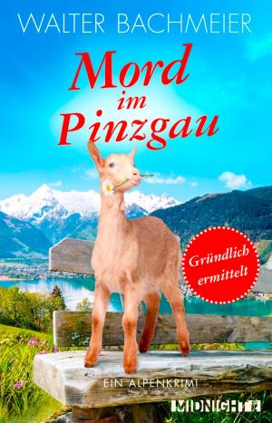 Cover of Mord im Pinzgau