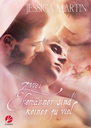 Cover of the book Zwei Ehemänner sind keiner zu viel by Karo Stein