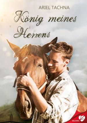 Cover of the book König meines Herzens by Ariel Tachna