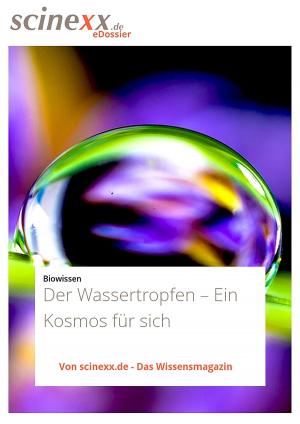 Cover of the book Der Wassertropfen by Dieter Lohmann