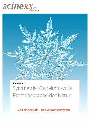 Cover of the book Symmetrie by Nadja Podbregar