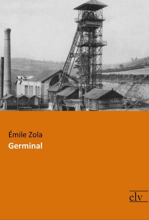 Cover of the book Germinal by Daniel Defoe