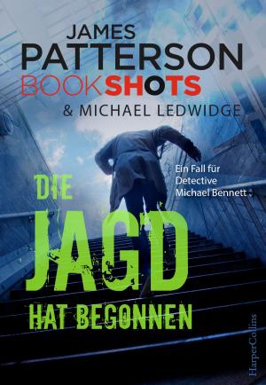 Cover of the book Die Jagd hat begonnen by Stew Mosberg