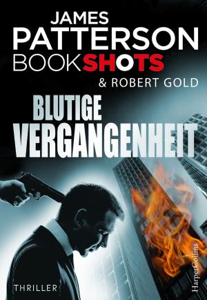 Cover of the book Blutige Vergangenheit by J. Matthew Saunders