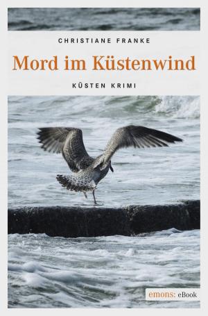 Cover of the book Mord im Küstenwind by Sabine Trinkaus