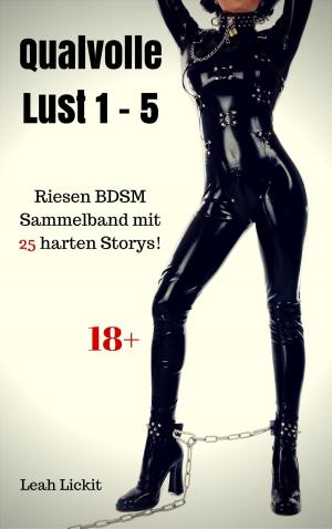 Book cover of Qualvolle Lust 1 - 5