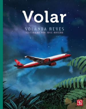 Cover of the book Volar by Eduardo Matos Moctezuma