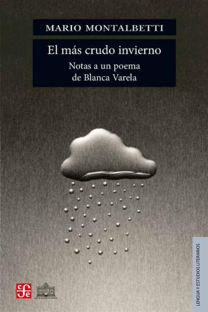 Cover of the book El más crudo invierno by José Homero