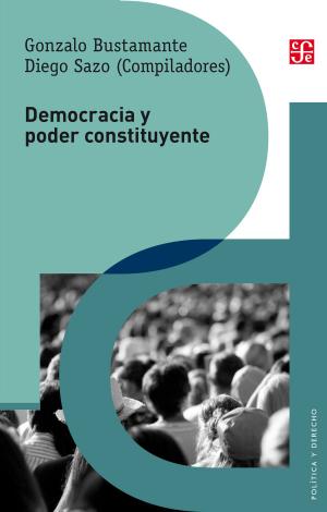 Book cover of Democracia y poder constituyente