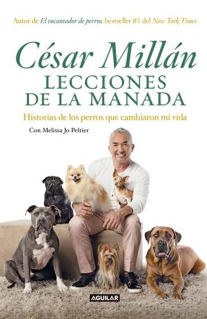 Book cover of Lecciones de la manada