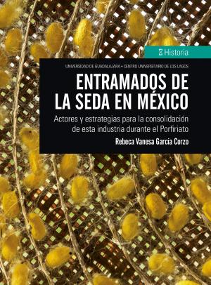 Cover of the book Entramados de la seda en México by Lilia V. Oliver Sánchez
