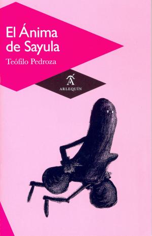 Cover of the book El Ánima de Sayula by José Luis Zárate