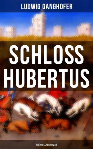 Cover of the book Schloß Hubertus (Historischer Roman) by Max Weber
