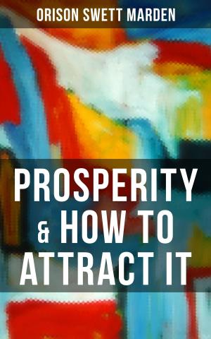 Cover of the book PROSPERITY & HOW TO ATTRACT IT by Sven Elvestad