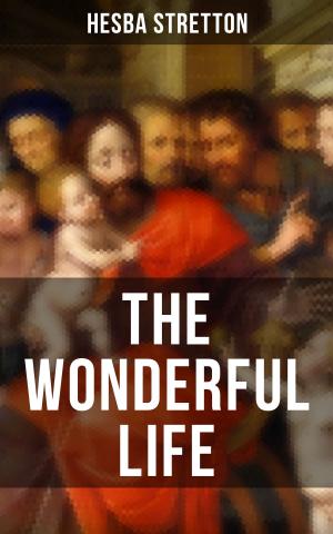 Cover of the book THE WONDERFUL LIFE by María Fernanda Piderit