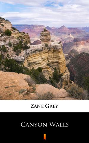 Cover of Canyon Walls by Zane Grey, Ktoczyta.pl